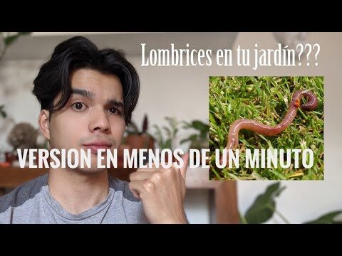 Los beneficios del modal orgánico: una alternativa sostenible