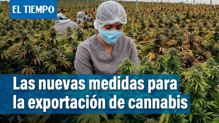 Textiles de c&aacute;&ntilde;amo: una alternativa sostenible y vers&aacute;til