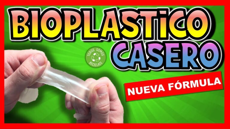 Diseño Eco-Friendly: Innovando con Fibras de Maíz