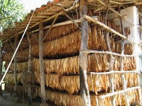 Ventajas del lino como tela ecológica
