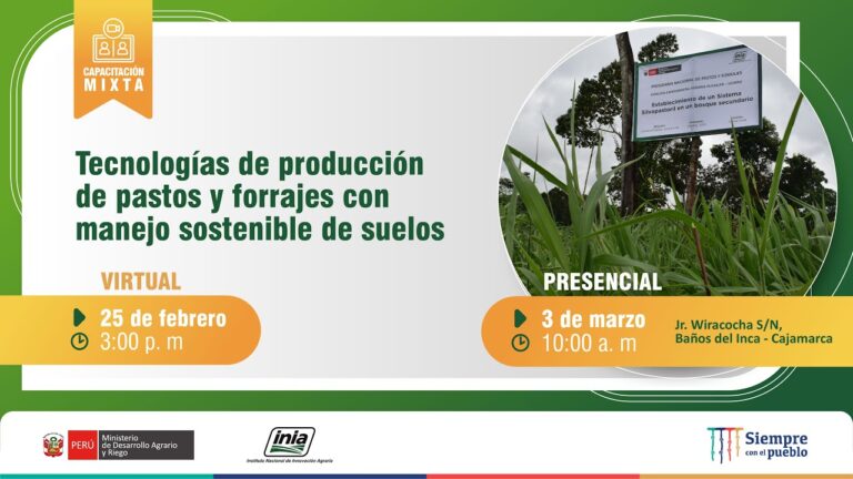 Avances en la producción de alpaca orgánica: Innovación y sostenibilidad